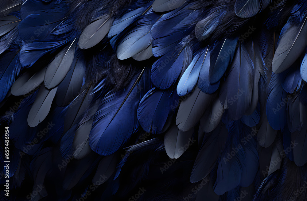 Fototapeta premium Close Up of Black and Blue Feathers