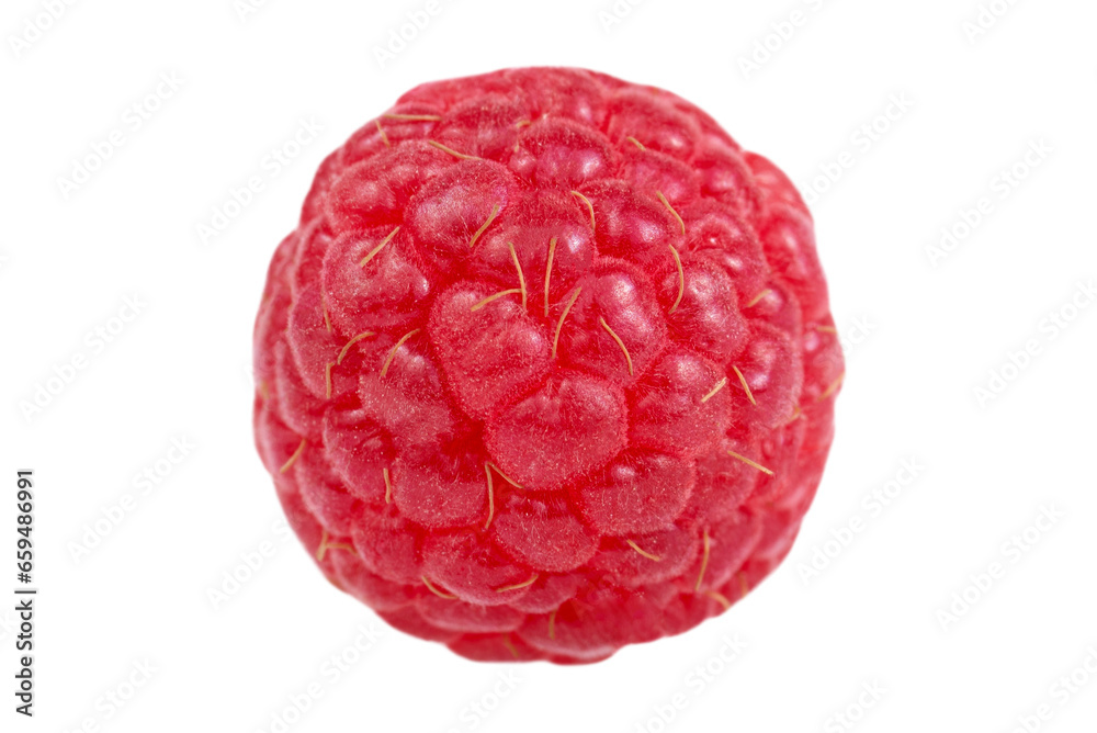 Raspberry isolated on a transparent background. Raspberry isolated on a transparent background.