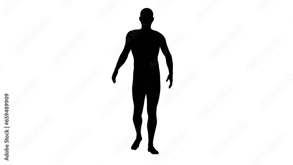 Silhouette of a beautiful young athletic man walking, transparent background. 3d illustration (rendering).