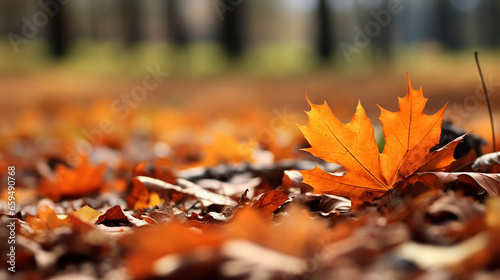 Closeup of red autumn leaves on ground