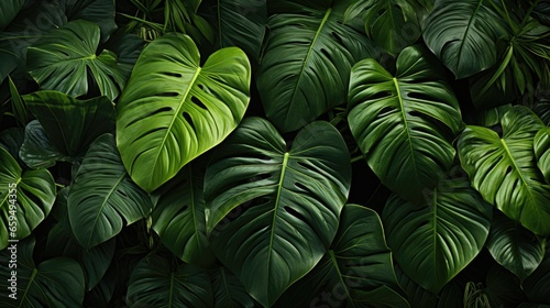 Closeup nature view of green leaf and palms background  flat lay  Generative AI