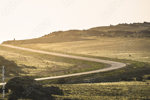 An asphalt road in the Kazakh steppe goes into the distance in the evening, the road against the backdrop of the flowering steppes of Mangistau