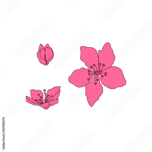 Isolated flowers of sakura set. Cartoon pink blossoms of Japanese cherry tree. Vector clip art illustration.