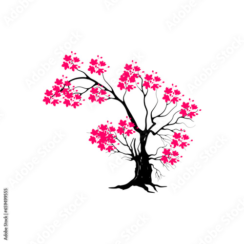 cherry blossom tree isolated on white backdrop.