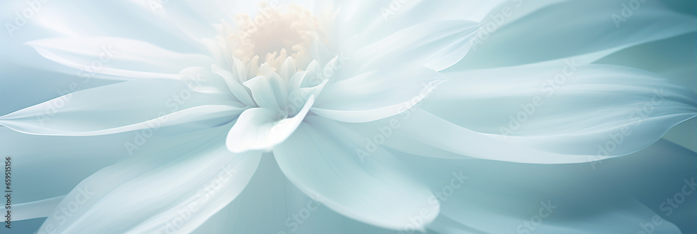 BEAUTIFUL, ELEGANT WALLPAPER WITH WHITE AND BLUE FLOWERS CLOSE-UP, SOFT GENTLE LIGHTING. HORIZONTAL IMAGE. image created by legal AI