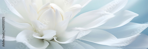 BEAUTIFUL, ELEGANT WALLPAPER WITH WHITE AND BLUE FLOWERS CLOSE-UP, SOFT GENTLE LIGHTING. HORIZONTAL IMAGE. image created by legal AI © PETR BABKIN