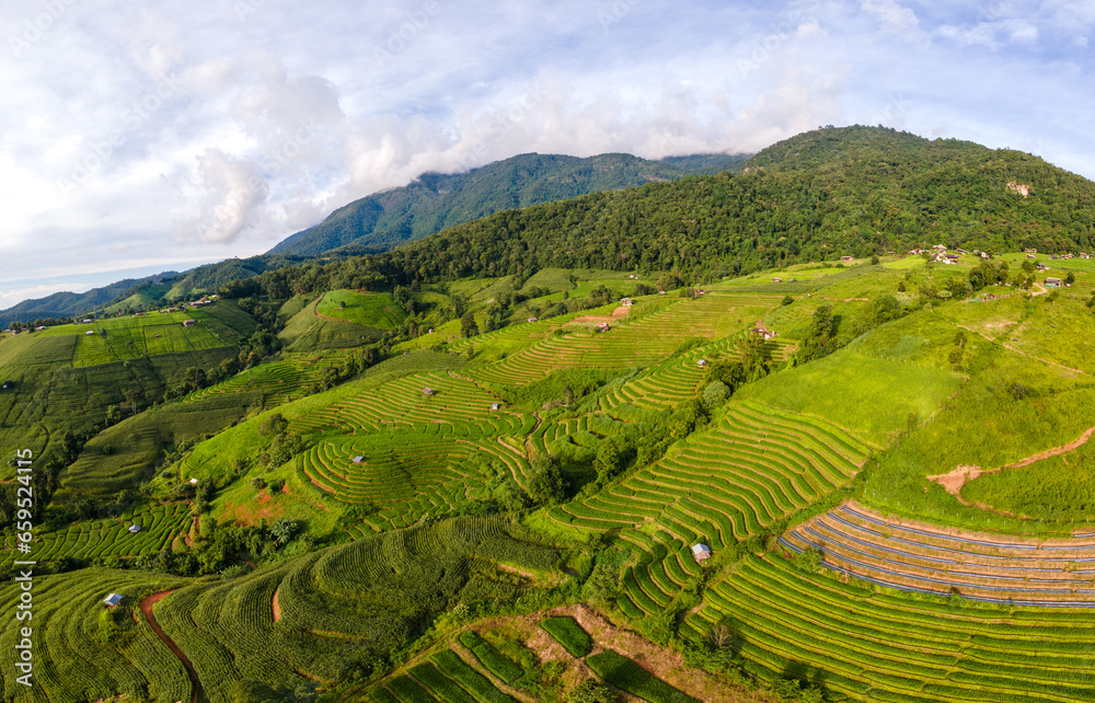 Terraced Rice Field in Chiangmai, Thailand, Pa Pong Piang rice terraces, green rice paddy fields during rain season at sunset in the mountains