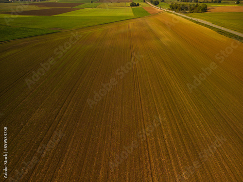 Agriculture field from above