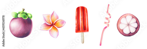 Watercolor illustration with fresh purple mangosteen, ice cream, straw for cocktail and plumeria flowers. Tropical fruit isolated on white background. For designers, spa decoration, postcards,  photo