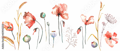 Set of red poppy flowers, wheat spikelets and herbs. Watercolor illustration isolated on white background.
