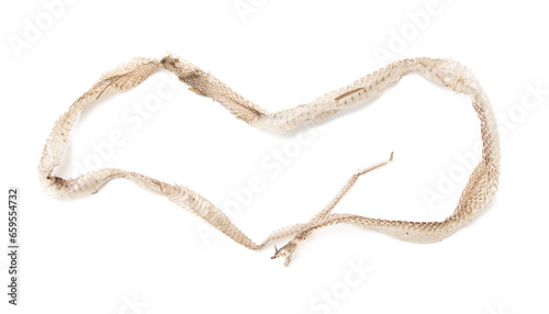The skin of a snake isolated on a white background photo