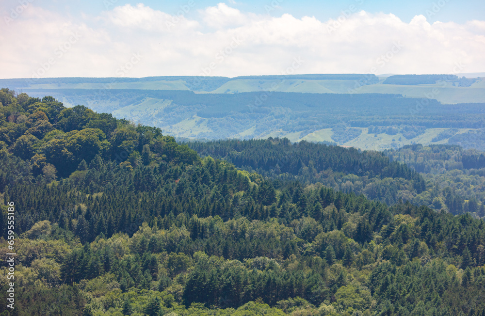 Green forest in the mountains in summer. View from above Green forest in the mountains in summer. View from above