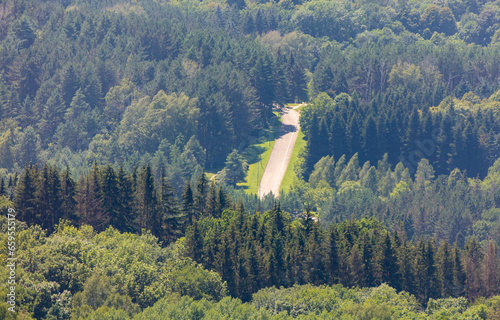 Asphalt road in the forest. View from above