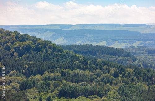 Green forest in the mountains in summer. View from above