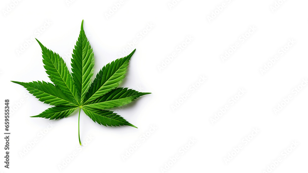 Cannabis leaf isolated on white background with copy space for text. Medical marijuana concept. Cannabis leaf isolated on white background with copy space for text. Medical marijuana concept.
