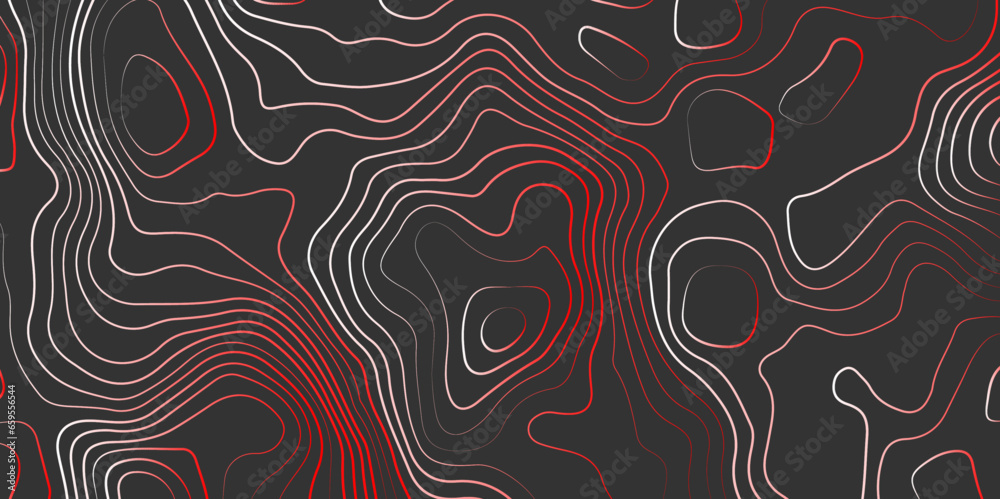 Fototapeta premium Abstract colorful wavy topographic map and curved lines background. Abstract geographic wave grid line map. Abstract topography relief. vector illustration.