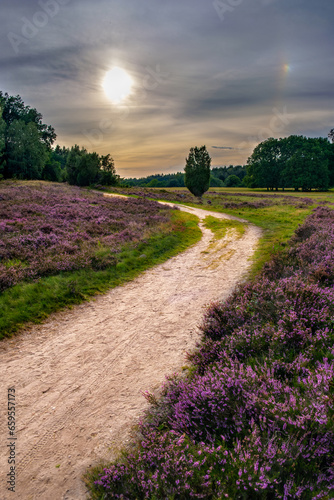 A gorgeous sunset on the Lunenburger Heath in Lower Saxony