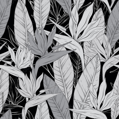monochrome pattern with tropical bird of paradise