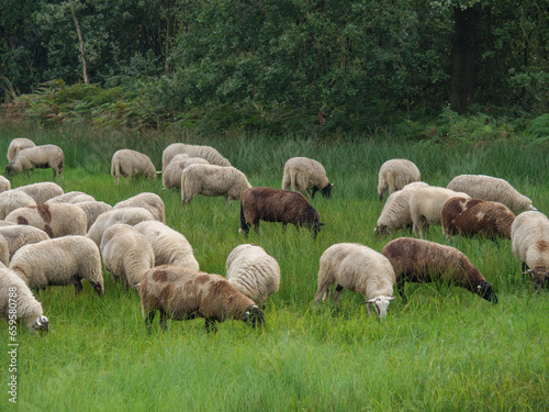 Haaksbergen in den Niederlanden