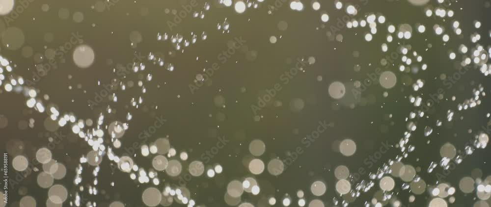Garden activated with automatic sprinkler irrigation system. Sprinkler head watering green grass lawn in slow-motion