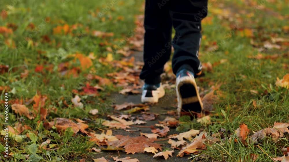 The boy walks through the path of autumn leaves and the park. Video. The boy walks through the path of autumn leaves and the park. Video.