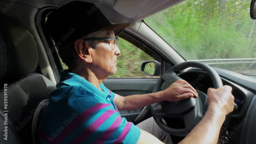 Side view of man in car with deer standing at forest seen through window Side view of man in car with deer standing at forest seen through window