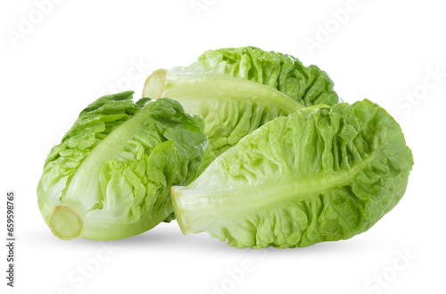 fresh baby cos (lettuce) on  transparent png