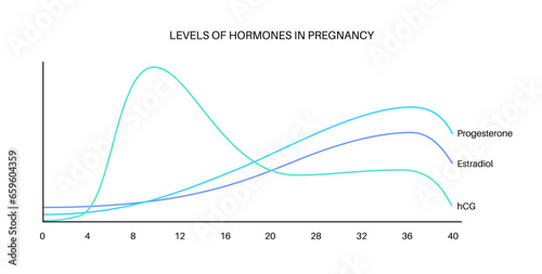 Hormones in pregnancy