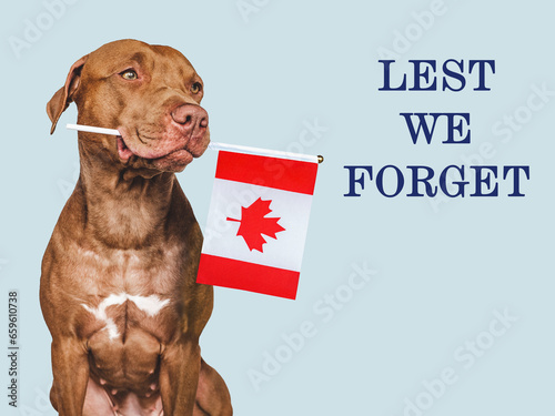 Lest We Forget. Lovable brown dog, Canadian Flag and congratulatory inscription. Closeup, indoors. Studio shot. Congratulations for family, relatives, loved ones, friends and colleagues