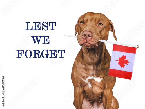 Lest We Forget. Lovable brown dog, Canadian Flag and congratulatory inscription. Closeup, indoors. Studio shot. Congratulations for family, relatives, loved ones, friends and colleagues