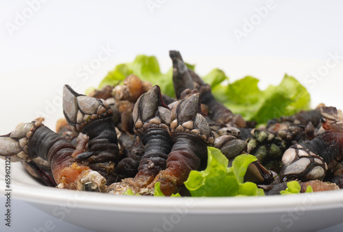 Galician barnacles, presented on a plate with salad