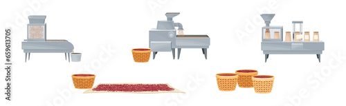 Coffee Industrial Production Process with Equipment and Ripe Crop Vector Set