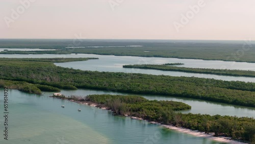 Wallpaper Mural Aerial wide shot of The Keewaydin Island Beach near San Marco Island at daytime in Florida, USA. Drone Wide shot Torontodigital.ca