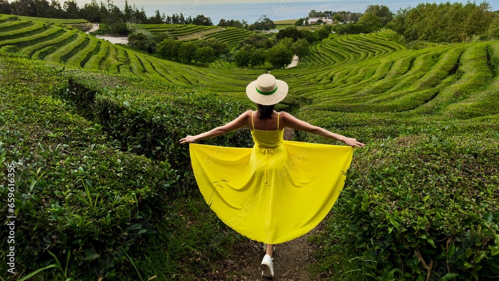 Fototapeta premium A female traveler in a yellow dress and hat walks through a green tea plantation on the island San Miguel Azores. Portugal. Travel concept