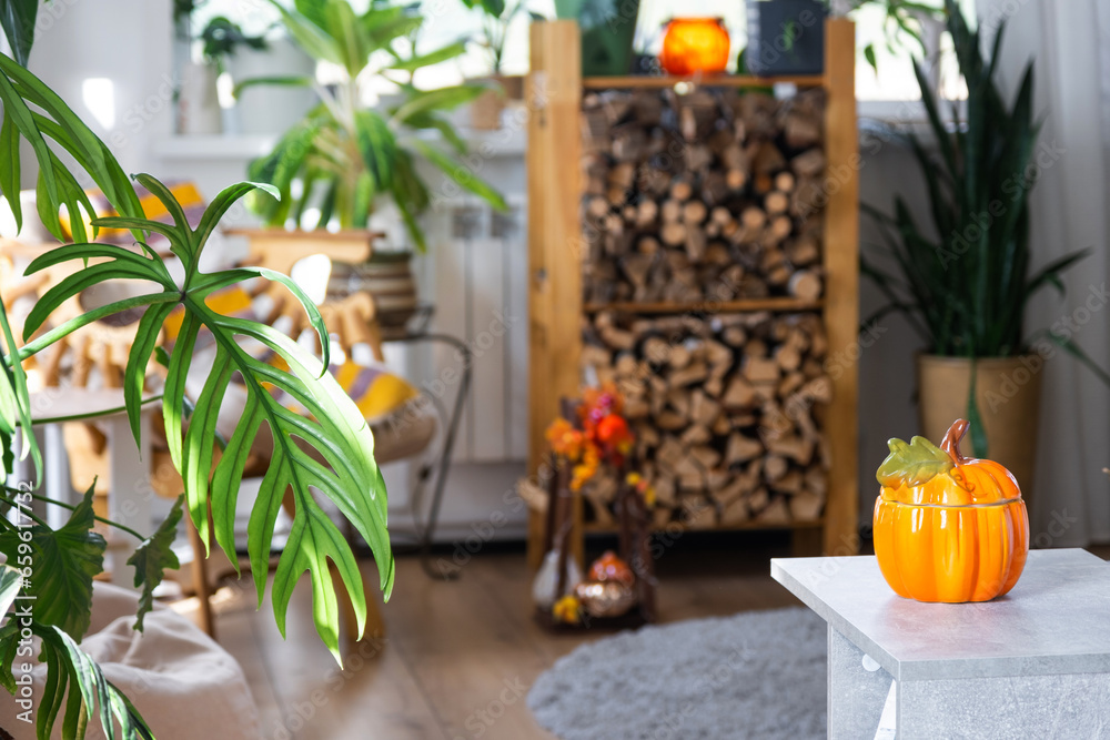 Bright sunny interior of the house with with firewood, an armchair, large potted plants and an autumn decor of pumpkins for halloween and autumn mood. 