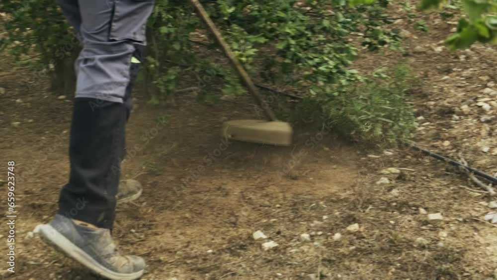 Hombre quitando malas hierbas de un árbol