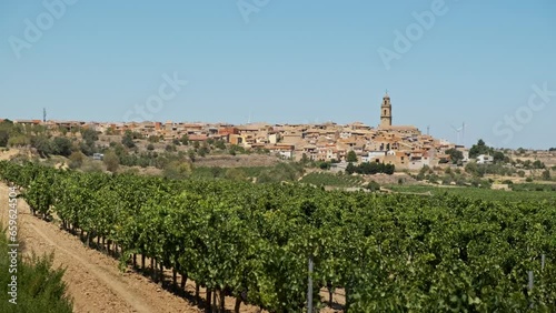 Vista de pueblo en entorno rural con viñedos  photo