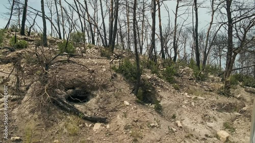 Bosque quemado en el entorno de la batalla del ebro
