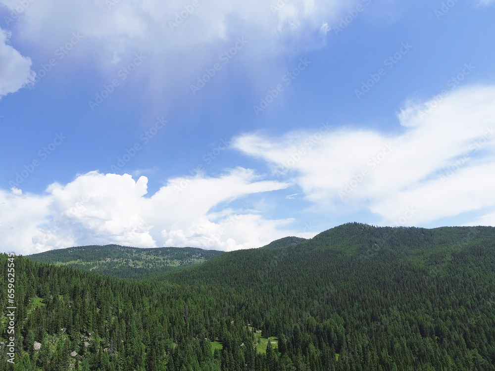 Fototapeta premium Aerial view of a green mountain landscape sprawling beautiful coniferous forest.