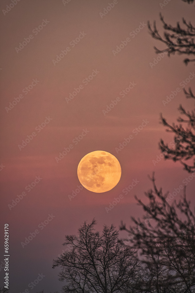 Fototapeta premium Roter Mond am Himmel