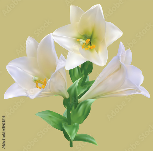 white lilies bunch isolated on light yellow