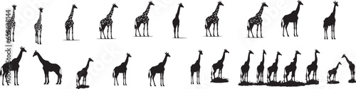 Set of giraffe vector silhouette