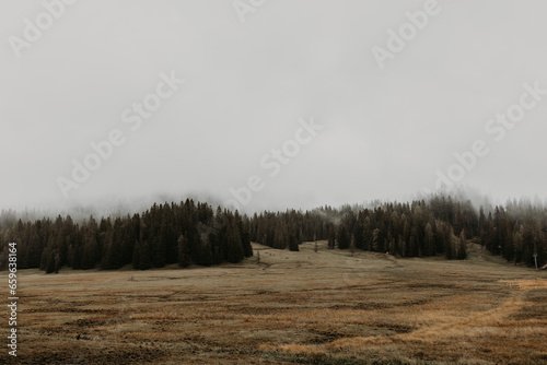 Fototapeta Naklejka Na Ścianę i Meble -  In the Dolomites plains, an otherworldly sense of serenity envelops the landscape. 