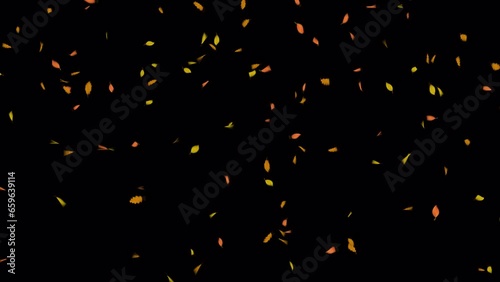 Autumn Leaves. Autumn Leaf Particles. Loop Animation With Alpha Channel Prores 4444.