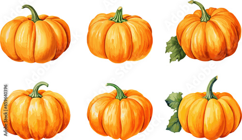 Vector pumpkins graphic watercolor elements, for autumn season, thanksgiving banner decoration. Isolated on a white background.