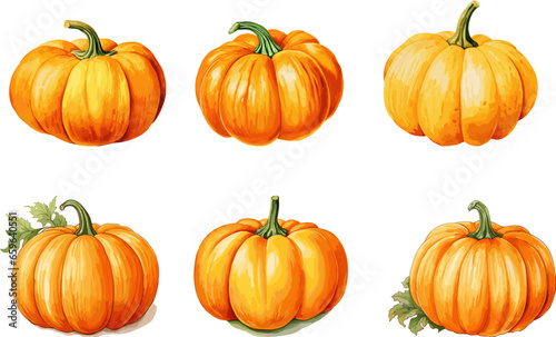 Big set bundle of vector pumpkins graphic watercolor elements, for autumn season, thanksgiving banner decoration. Isolated on a white background.