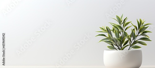 White clay pot with a fat plant empty space for text