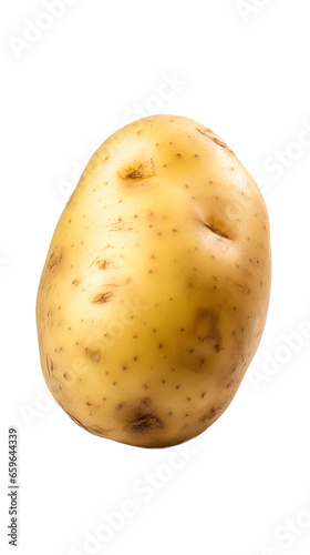 potato isolated on white background
