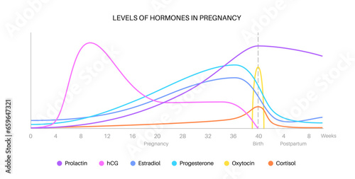 Hormones in pregnancy