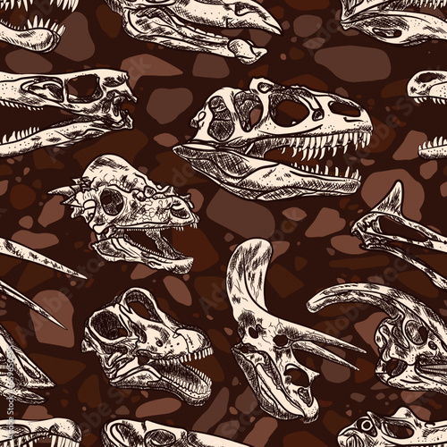 Dinosaurs fossils skull heads sketch seamless pattern over a stoned ground repeat
